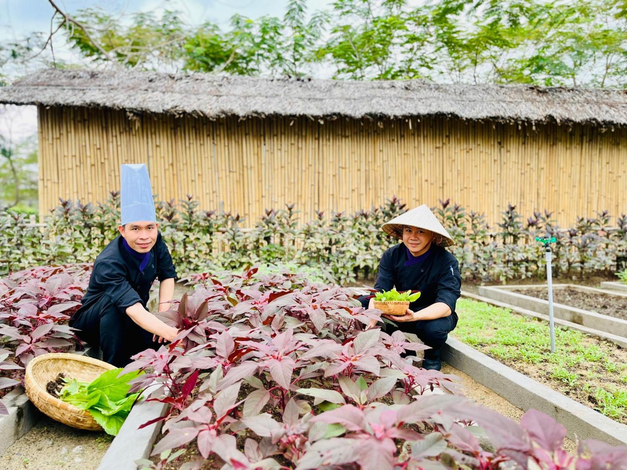 Ttc Van Phong Bay Resort - Himalaya Sauna & Steam Retreat Included Ấp Ninh Hòa  外观 照片