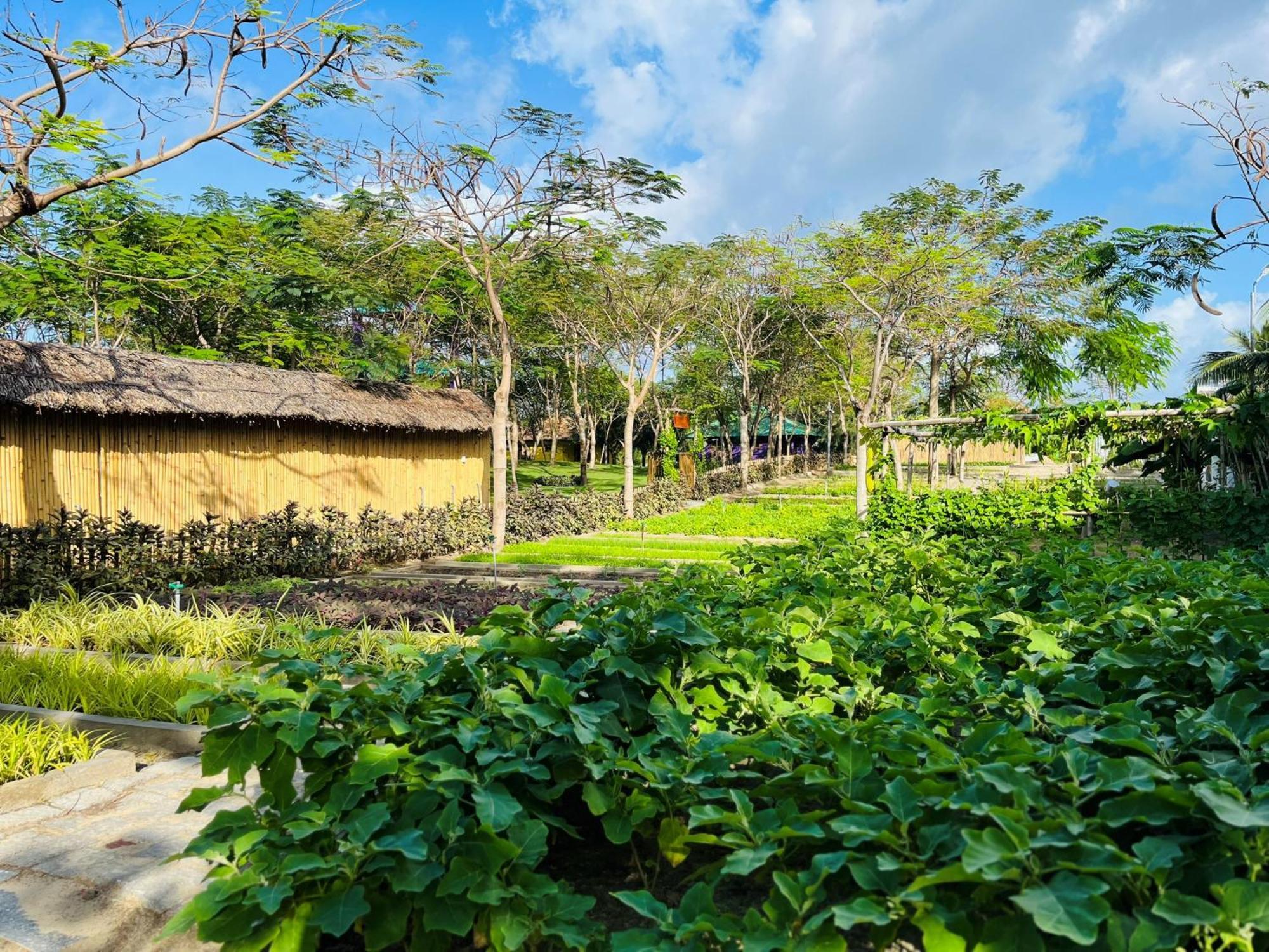 Ttc Van Phong Bay Resort - Himalaya Sauna & Steam Retreat Included Ấp Ninh Hòa  外观 照片